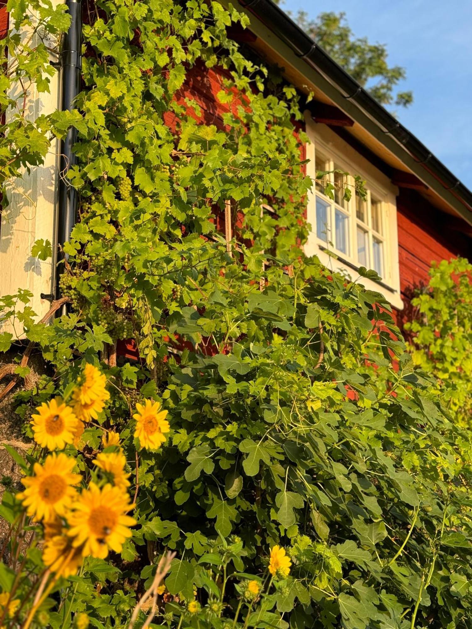Brunstorpsgard Braenneriet Villa Huskvarna Luaran gambar